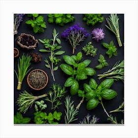 Herbs As A Background (72) Canvas Print