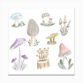 Colorful Doodle Mushrooms Canvas Print
