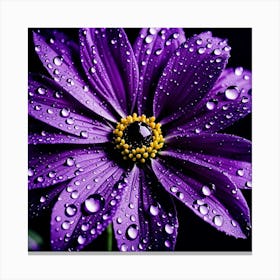 Purple Flower With Water Droplets 2 Canvas Print