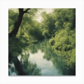 River In The Forest Canvas Print