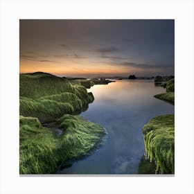 Mossy Rocks At Sunset Canvas Print