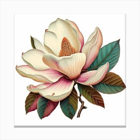 Magnolia Flower 1 Canvas Print