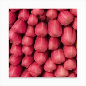 Rambutan Canvas Print