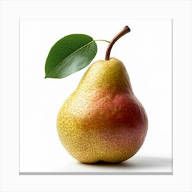 Pear With Leaf Canvas Print