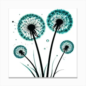 Dandelion 17 Canvas Print