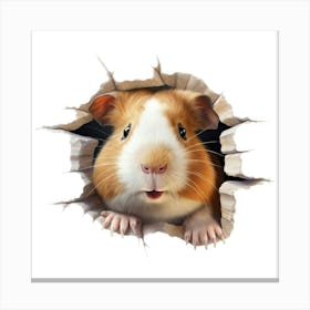 Guinea Pig 1 Canvas Print