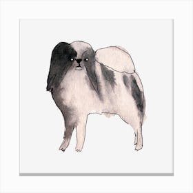 Pekingese Canvas Print