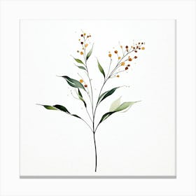 plant minimalist 4 Canvas Print