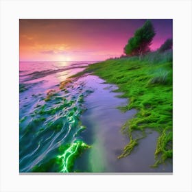 Mossy Beach At Sunset Canvas Print