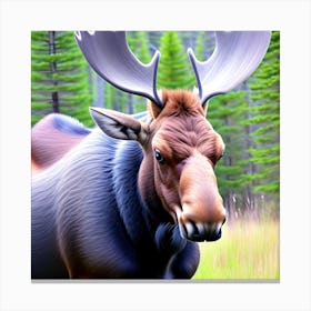 Moose In The Grass Canvas Print