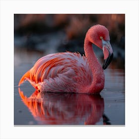 Flamingo 26 Canvas Print