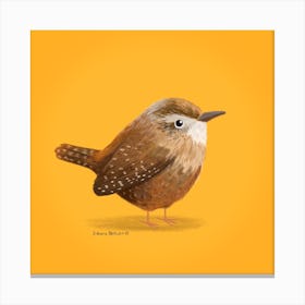 Wren Bird Canvas Print