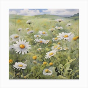 Daisies In The Meadow 1 Canvas Print