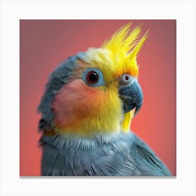 Cockatiel 8 Canvas Print