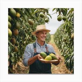 Farmer Holding Ripe Mangoes Canvas Print