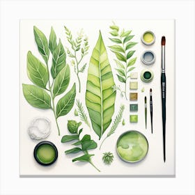 Watercolor Of Green Leaves Canvas Print