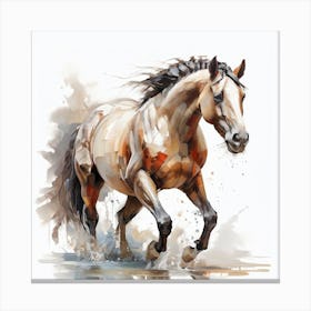 Horse Running In Water Canvas Print