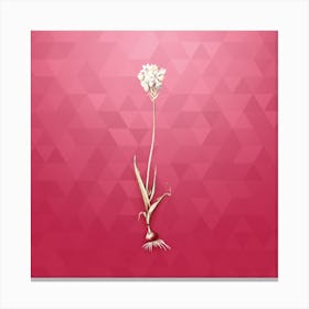 Vintage Chincherinchee Botanical in Gold on Viva Magenta n.0846 Canvas Print