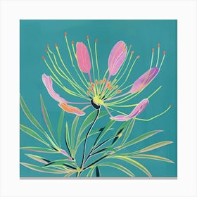 Love In A Mist 3 Square Flower Illustration Canvas Print