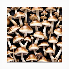 Many Mushrooms On A Black Background 5 Canvas Print