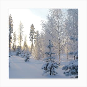 Winter Forest Canvas Print