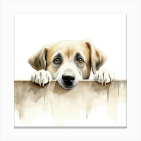 Dog Peeking Over Fence Canvas Print