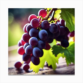 Grapes On The Vine 40 Canvas Print