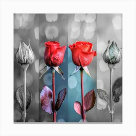 Roses in a row 1 Canvas Print