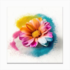Colorful Flower In Powder On White Background Canvas Print