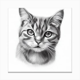 Portrait Of A Cat 3 Canvas Print