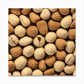 Nuts And Hazelnuts 1 Canvas Print