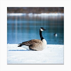 Canadian Geese 1 Canvas Print