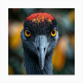 Emu Bird Canvas Print