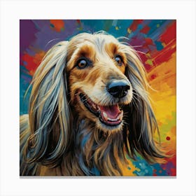 Afghan Hound Canvas Print