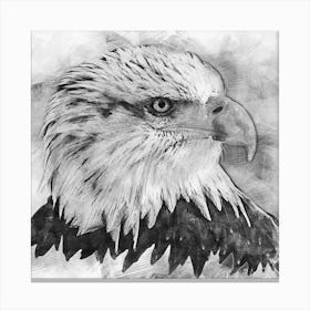Bald Eagle Portrait By Person Canvas Print