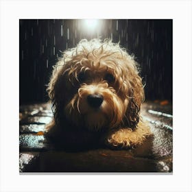 Dog In The Rain 7 Canvas Print