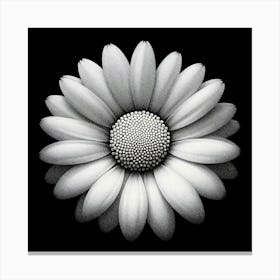 Daisy 2 Canvas Print