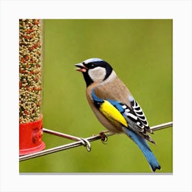 Bird Feeder Canvas Print