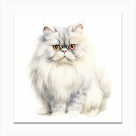 Chinchilla Persian Cat Portrait 1 Canvas Print