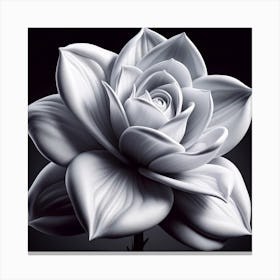 White Rose Canvas Print