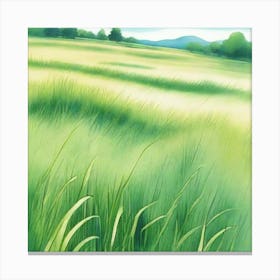 Field Of Grass Canvas Print