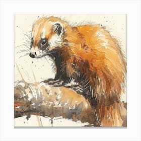 Editorial Art White Background Ferret Canvas Print