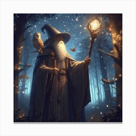 Lord Of Power Wizard Canvas Print