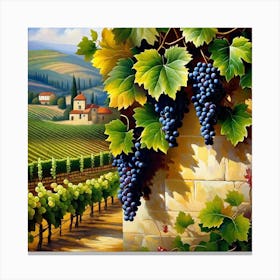 Vineyards In Tuscany Canvas Print