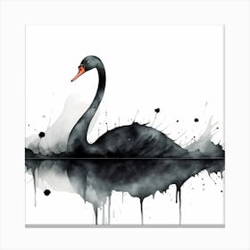 Black Swan 1 Canvas Print