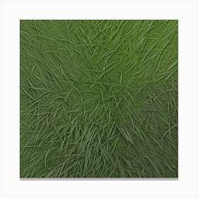 Grass Texture Photo Canvas Print