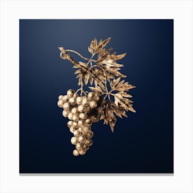 Gold Botanical Grape Vine on Midnight Navy n.4069 Canvas Print