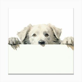 White Border Collie Canvas Print