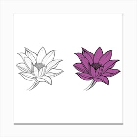 Lotus Flower 2 Canvas Print