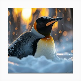 King Penguin Canvas Print